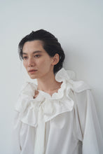 画像をギャラリービューアに読み込む, Prince shirt