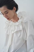 画像をギャラリービューアに読み込む, Prince shirt
