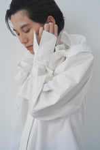 画像をギャラリービューアに読み込む, Prince shirt