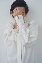 画像をギャラリービューアに読み込む, Prince shirt